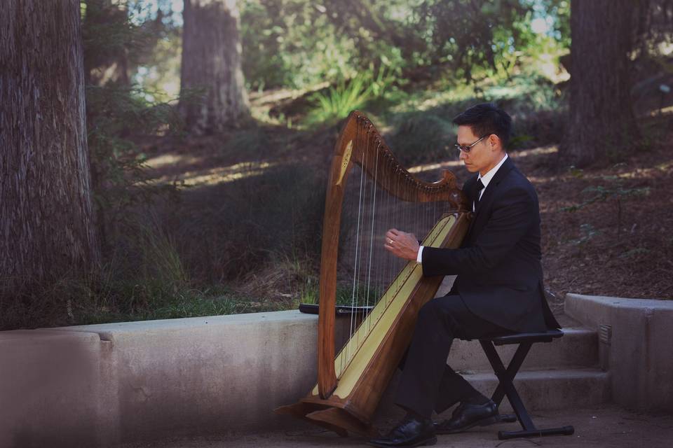 Rick Tan HarpT. Elliot Weier Redwood Grove, DavisArtisan Wedding Photography