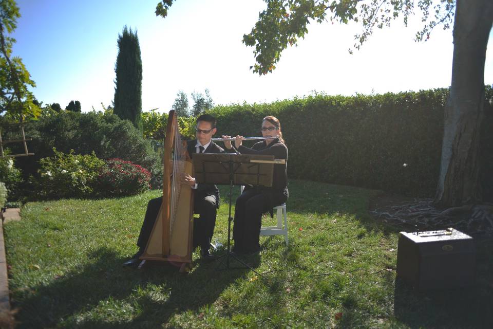 Rick Tan Harp, Jennifer Tan FluteVintner's Inn, Santa RosaArtisan Wedding Photography