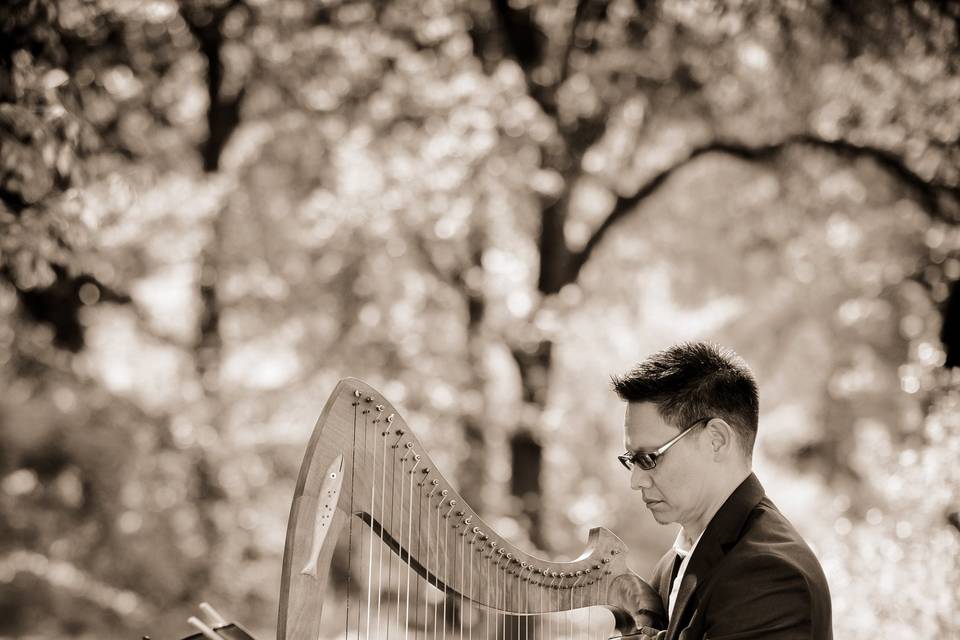 Rick Tan HarpT. Elliott Weier Redwood Grove, UC DavisArtisan Wedding Photography