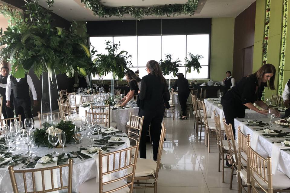 Wedding and reception.