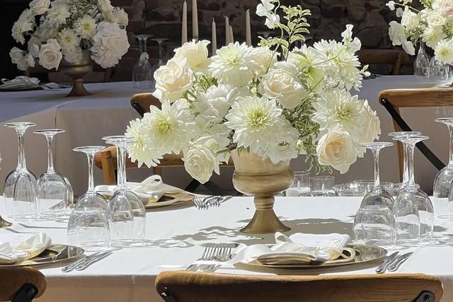 Zarina Flowers & Decor