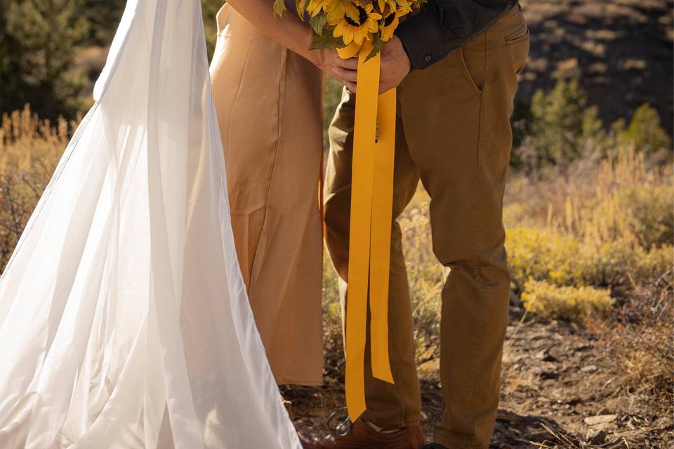 High Sierra wedding ceremony