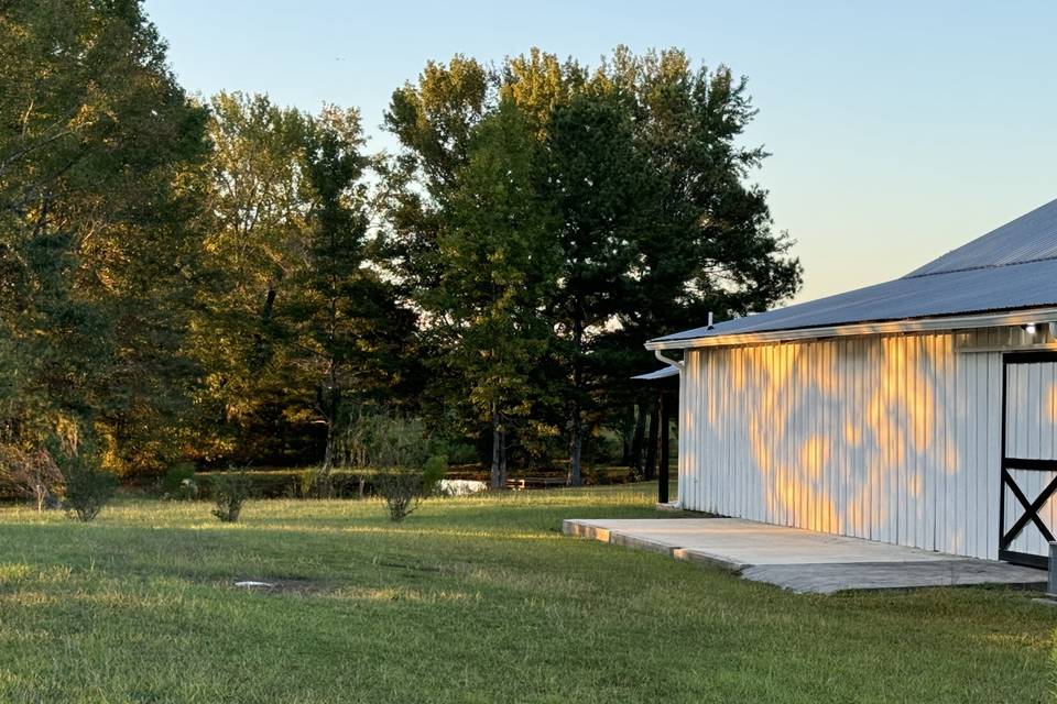 Sun dancing on the siding