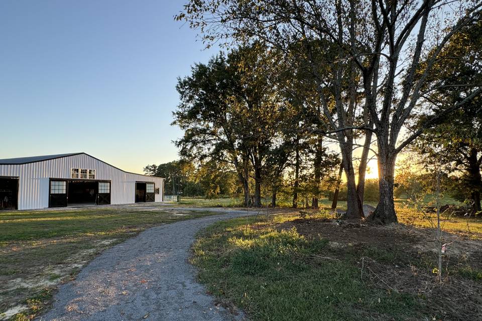 Path to horse barn