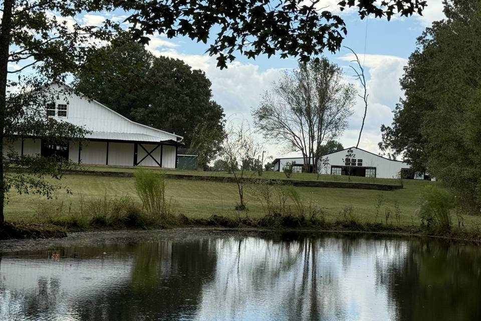 Pond view