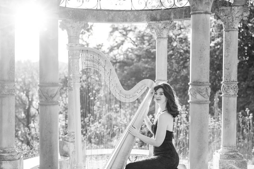 Harpist