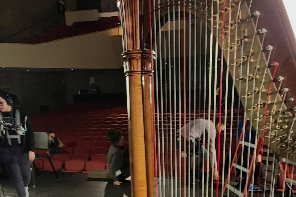 Harpist