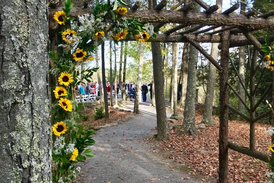 Sunflower lined arch