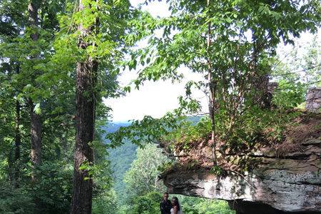 Couple in the forest