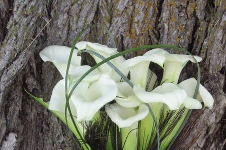 calla lilies and peacock feathers