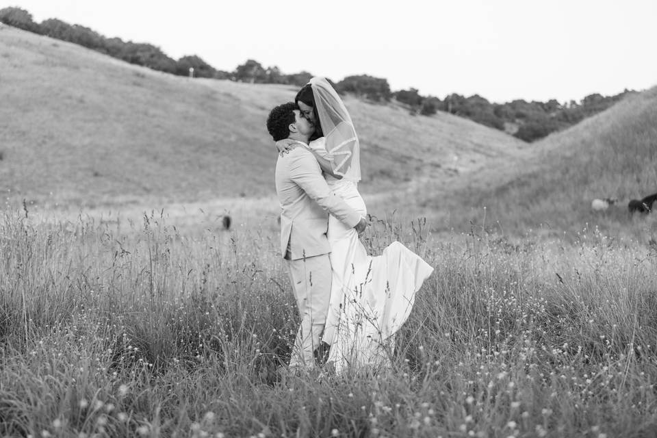 Romance on a California ranch