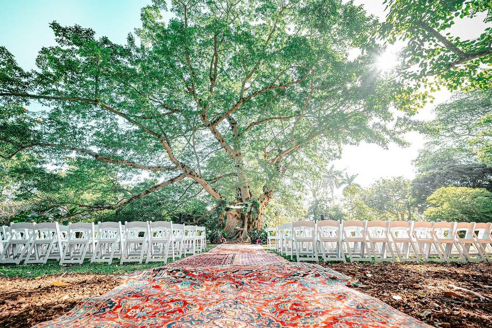 Fairchild Tropical Botanic Garden