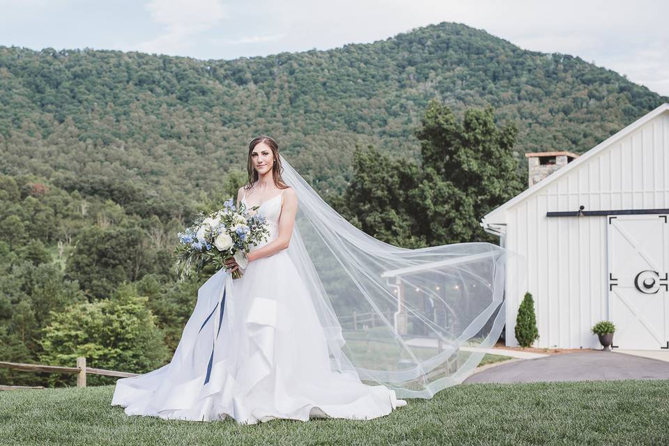 Chestnut Ridge Bride