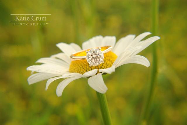 Katie Crum Photography