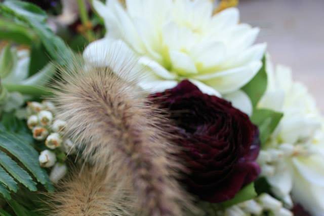 Foxtail Florals