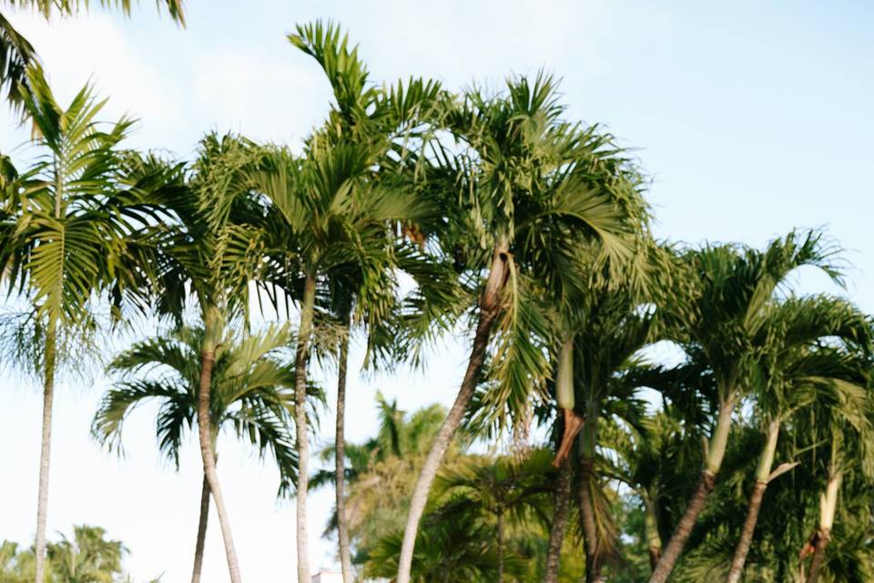 Minimalist Wedding Reception w
