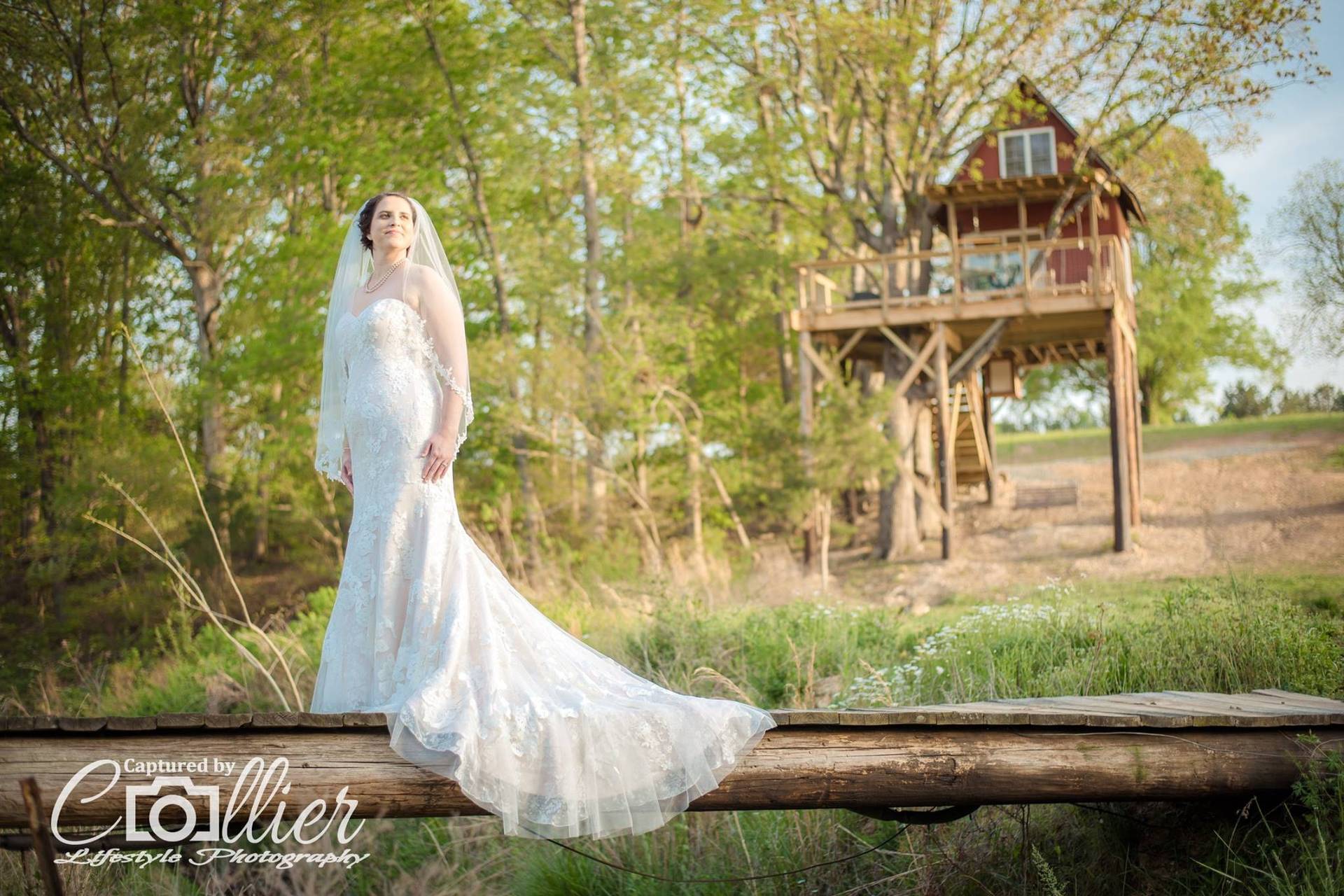 Treehouse Vineyards Winery Weddings Monroe, NC WeddingWire