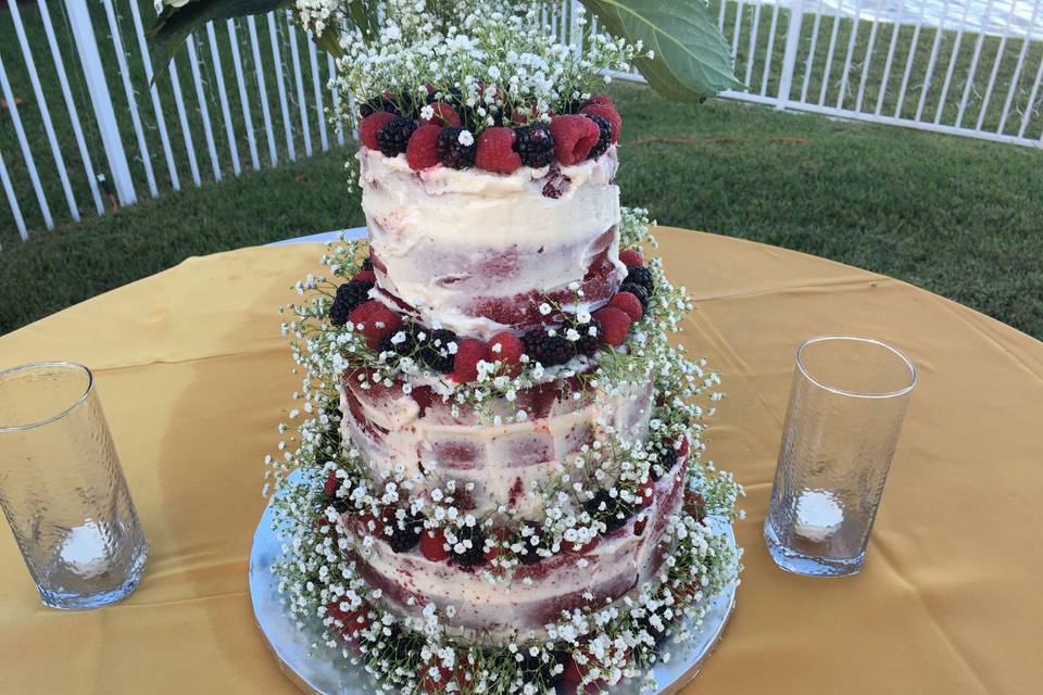 Tasty Creations Catering