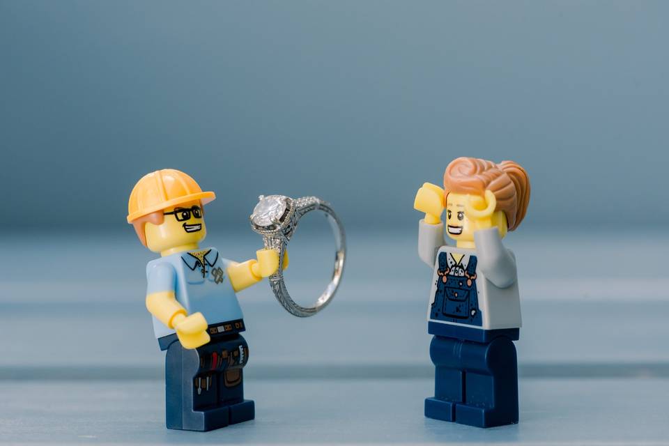 Lego figure of proposal