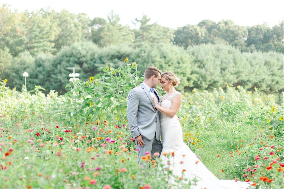 Field of Flowers