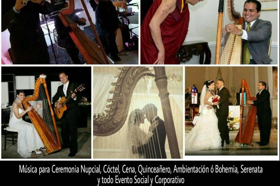 The Best Harp Serenade