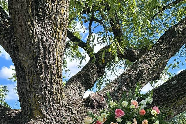 Hound Hill Flowers
