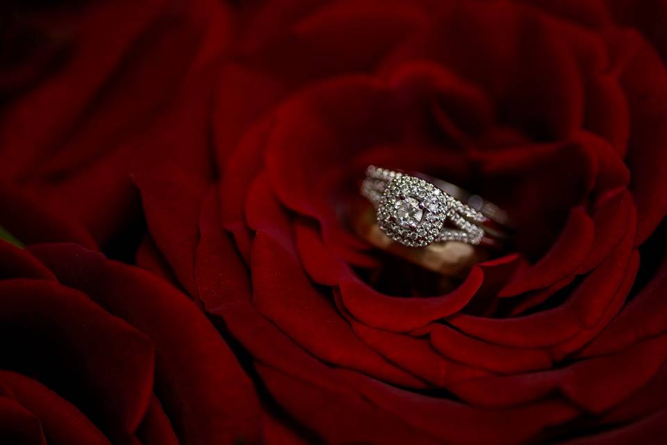 Rings in rose