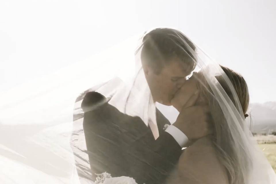 Dreamy veil in golden light