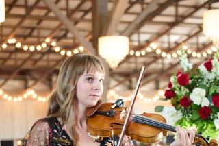 Elegant Violin