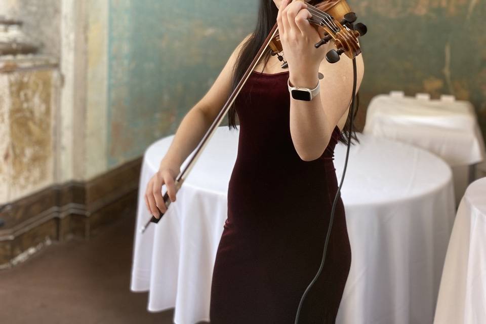 Elegant Violin