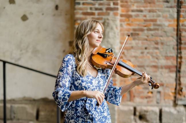 Elegant Violin