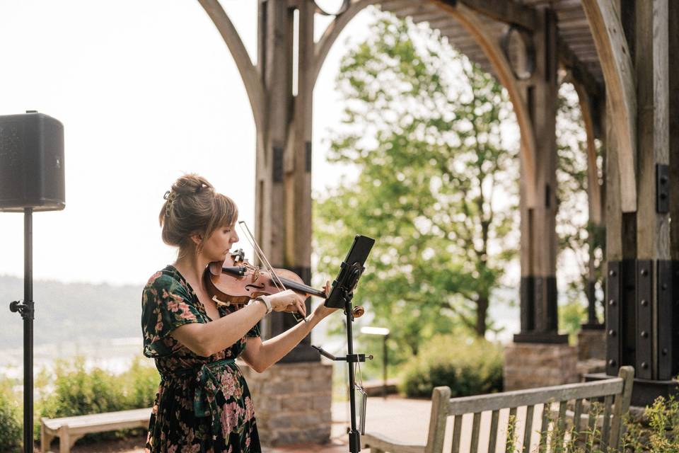 Elegant Violin