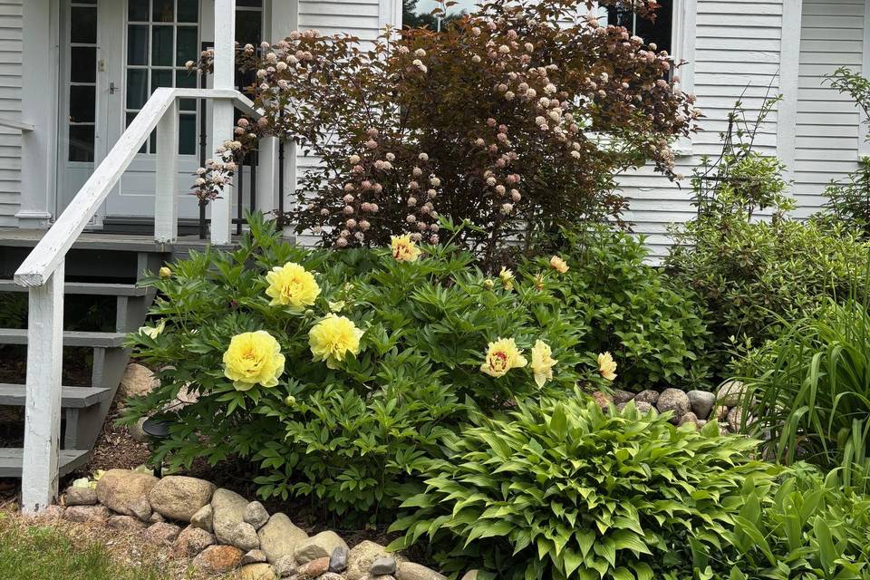 Front Garden