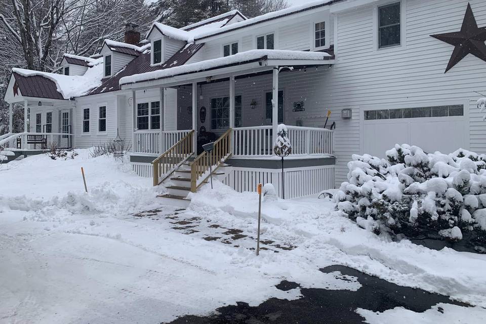 Winter at the Buttonwood