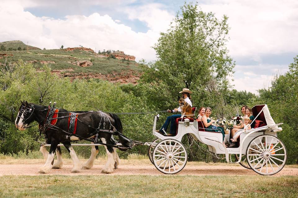 Horse and carriage