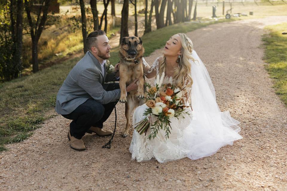 Pet friendly