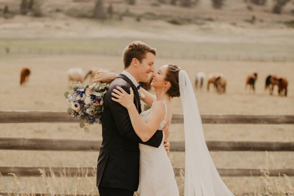 Horse pastures for backdrops