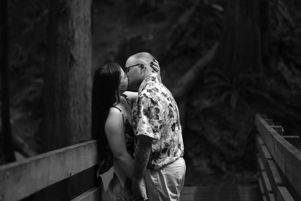 Engagement Session