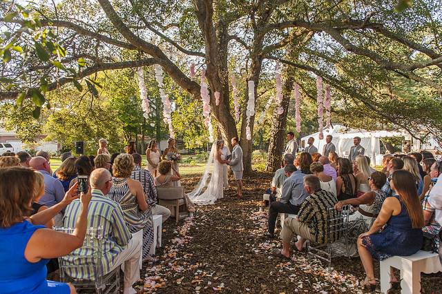 Wedding outdoors