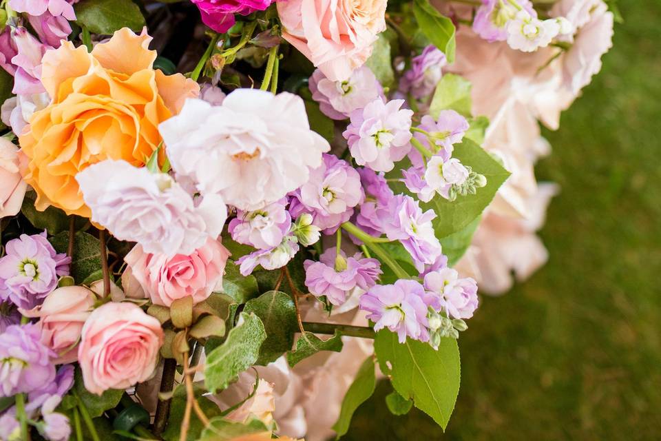 Bells & Whistles at the Flower Field