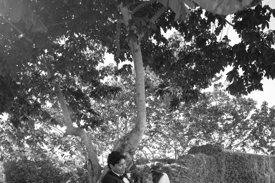 Wedding couple portrait