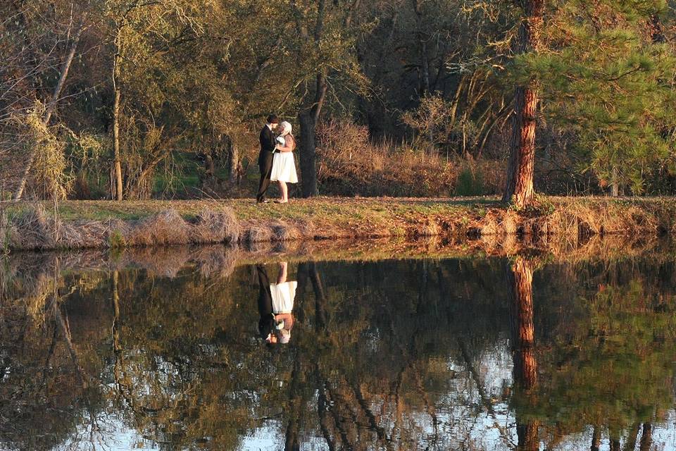 Lucid Splendor Photographic Expressions