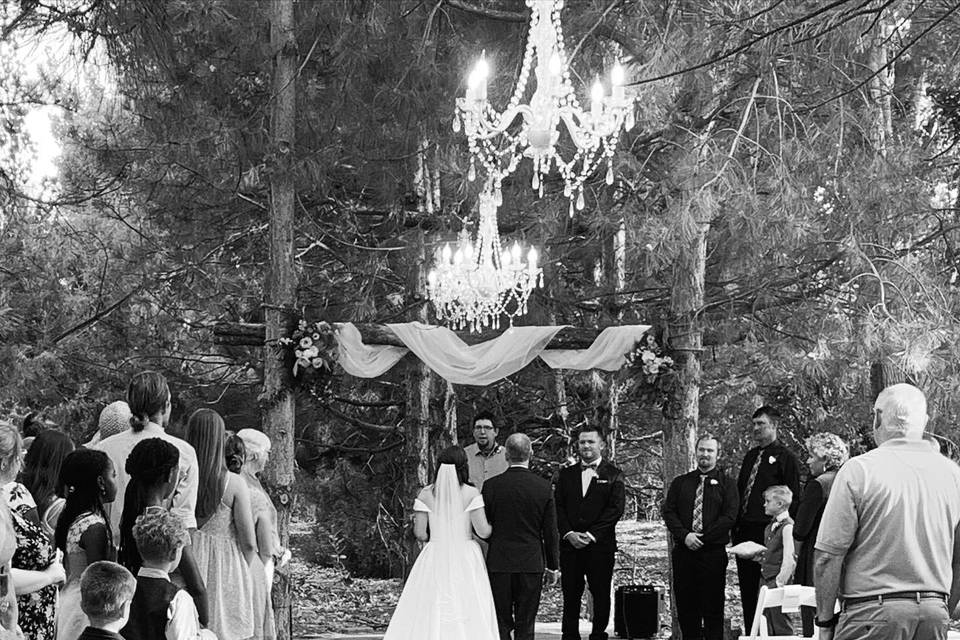 Wedding among the trees