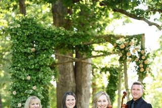 Carolina Royal Strings