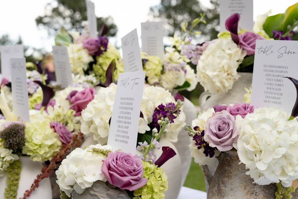 Davis & Dahlias