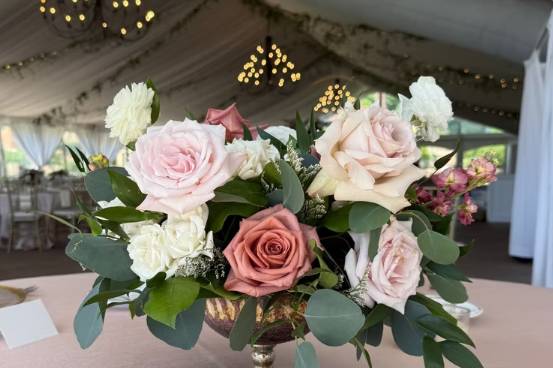 Davis & Dahlias