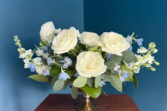 Davis & Dahlias