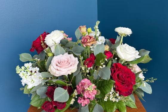 Davis & Dahlias