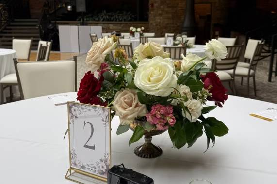 Davis & Dahlias