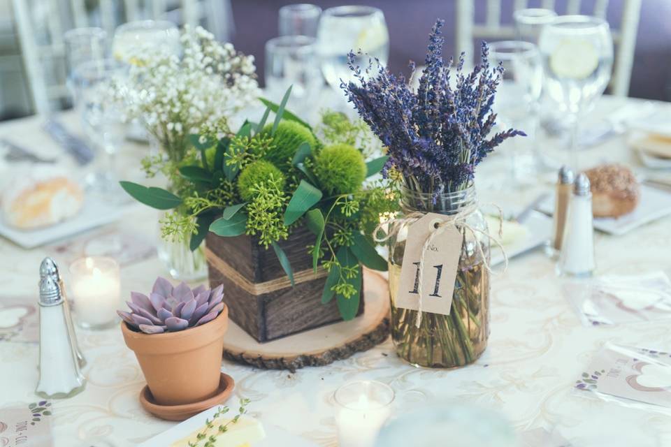 Plant centerpiece